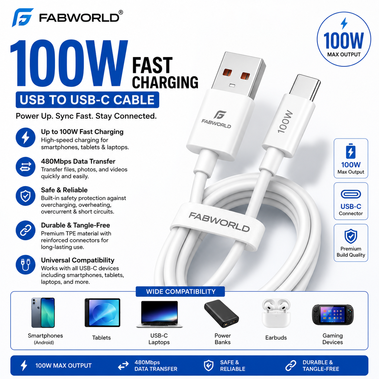 FABWORLD 100W USB-C Fast Charging Cable | Type-C PD Data Cable
